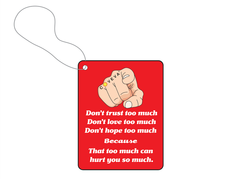 Do Not Trust Too Much Air Fresheners Frogchem